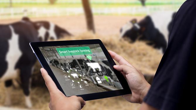 Penerapan IoT dalam Industri Peternakan Modern