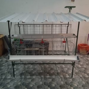 Kandang Baterai Ayam Petelur untuk 10 ekor