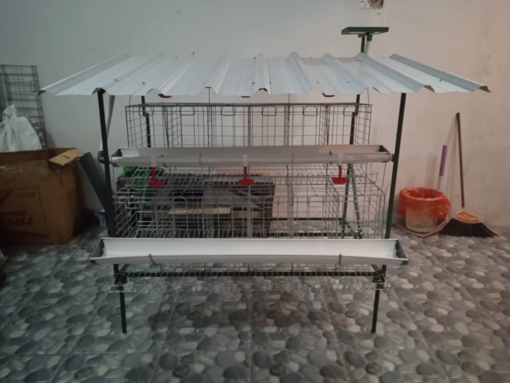 Kandang Baterai Ayam Petelur untuk 10 ekor