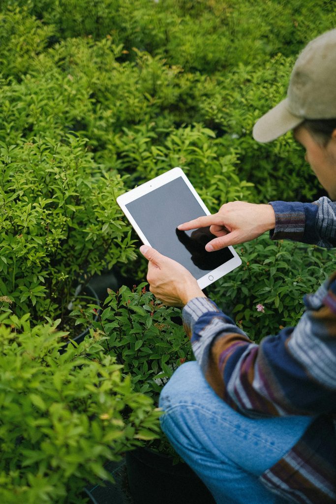 From above of crop anonymous male browsing tablet while searching information about plants while working in glasshouse
